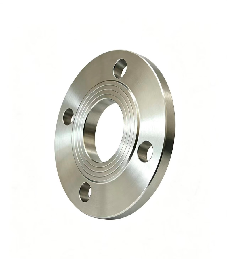 Picture1 Plate Flange