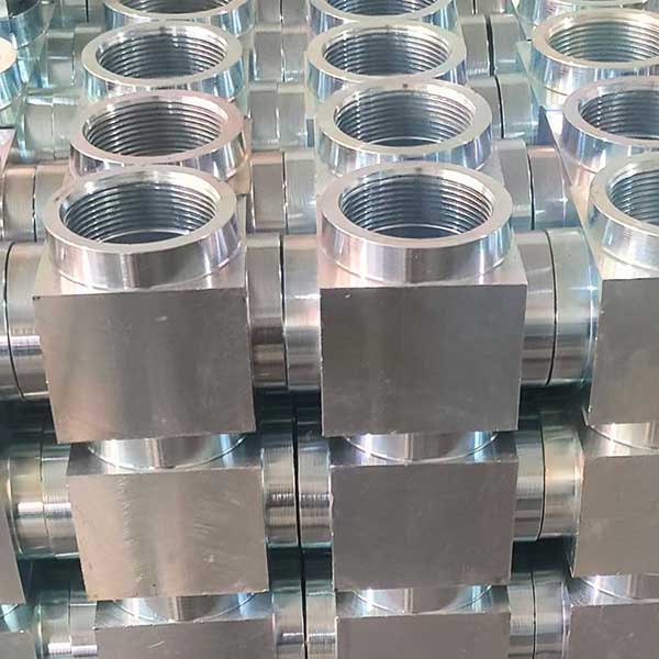 承插-1 Forged Fittings